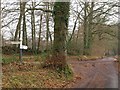 Road junctions near Coursley Brake