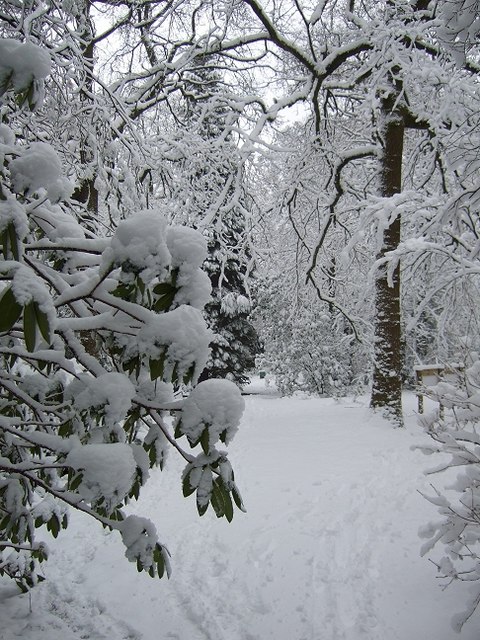 Parc Cefn Onn © Kev Griffin :: Geograph Britain And Ireland