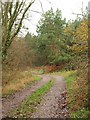 Bridleway at Broad Oak