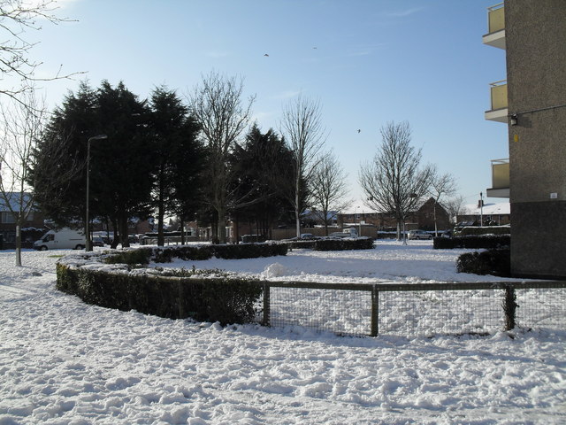A snowy garden outside Chichester House