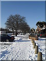 Winter trees in Crossland Drive