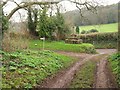 Butter Cross, Dunster