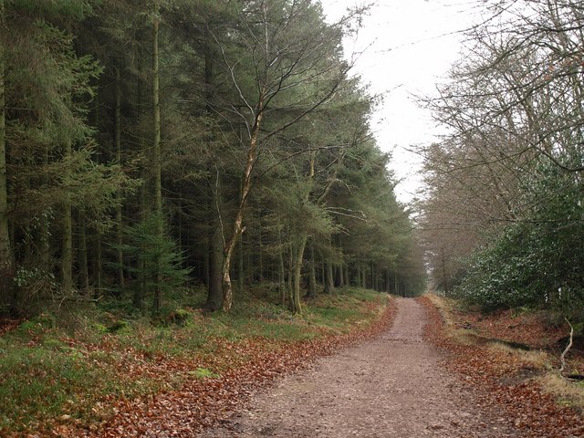 Track West Of Hole's Corner © Derek Harper Cc-by-sa 2.0 :: Geograph 