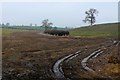 Countryside near Mudford Sock