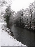 ST2886 : River Ebbw in Tredegar Park by Gareth James