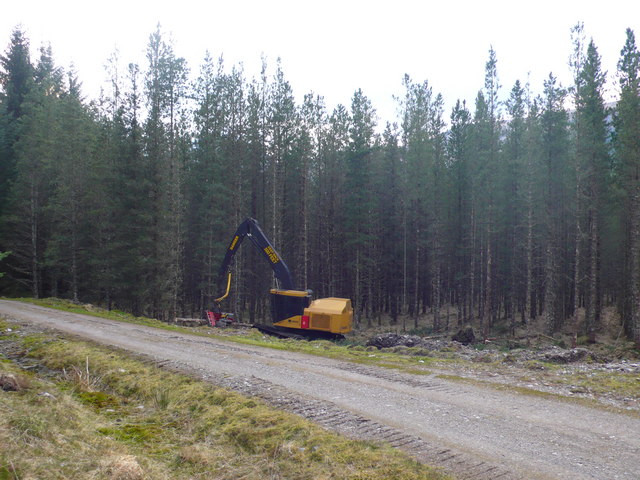 Forest management, Forestry Commission... © Penny Goodman cc-by-sa/2.0 ...