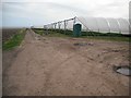 Polytunnels, Elliot