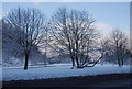 Trees in the middle of the A26 dual carriageway