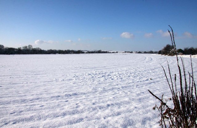 Snow covered field at Tadley