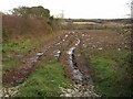 Field beside Retire Common