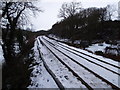 Newcastle to Carlisle Railway at Quality Cottages