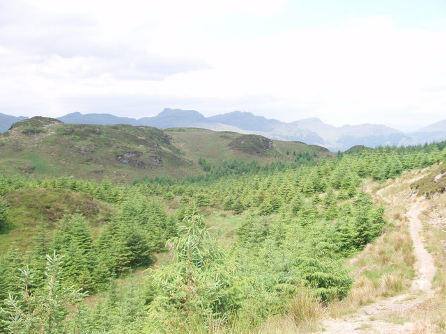 Path north of Corran Lochan heading towards Lochgoilhead