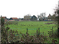 View to Hall Farm from Beccles Road