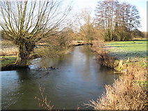 SU4667 : River Kennet in Newbury by Nigel Cox