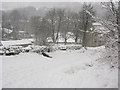 Lonkley Bank in the snow (3)