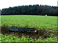 Fields at Manor France Farm