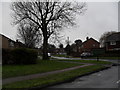 Looking from Canterbury Road into Allangate Drive