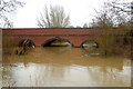 SP3966 : River Itchen in flood at Snowford Bridge by Andy F