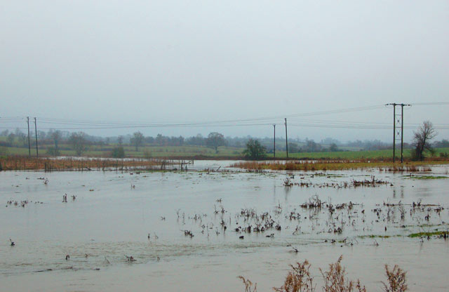 Wash meadows along the River Itchen in flood