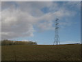 Pylon near Pen-y-lan