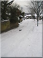 Looking down from the summit of East Cosham Road