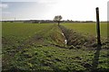 Footpath to Creaseys Farm