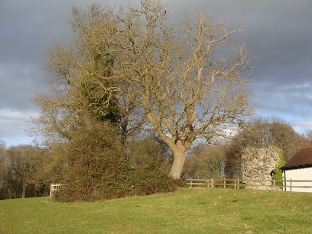 Winter trees, ruin and the edge of the field, Offa's Dyke path