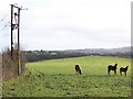 Footpath near Stanton Wick