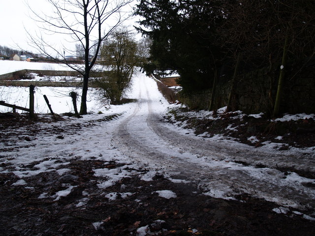 Track between High Warden and Private-walk Wood
