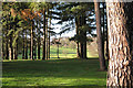 Kenilworth golf course