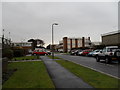 Lamppost in Ashwood Drive