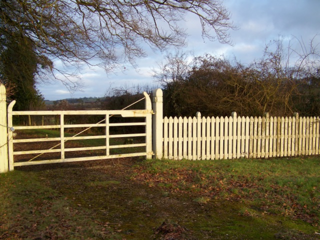 Gate near Winterslow