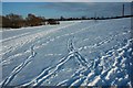 Snow covered field, Birlingham