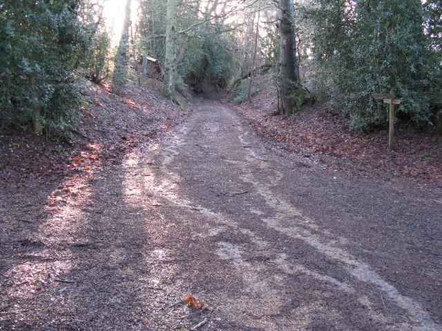 Path junction near Redford House
