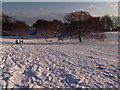 Snow on Langdon Hills