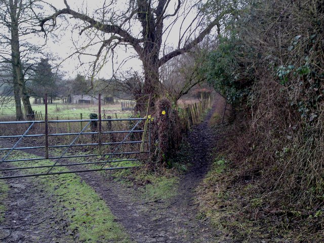 At this point the Itchen Way leaves the private drive and becomes a single file footpath.