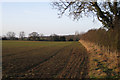 Hedgerow at the end of a field