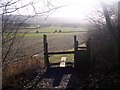 Stile and dog gate on the North Downs Way near Deepdale Wood