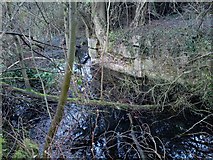 SU4517 : Itchen Navigation Canal Brickwork Remains by dinglefoot