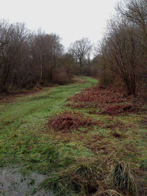 Itchen Country Park nature trail