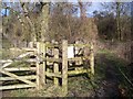 Kissing Gate near Tatsfield Court Farm