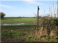 Footpath from Calleywell Lane