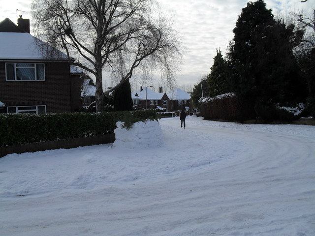 Looking from Pembury Road into a snowy Norris Gardens