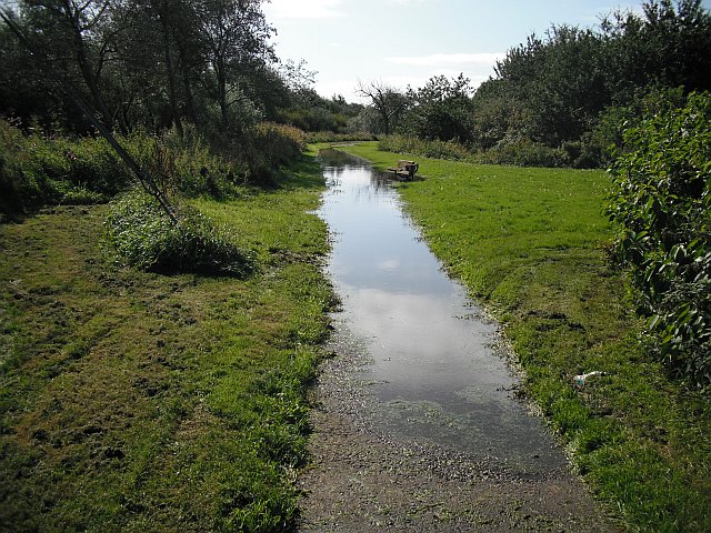 Flooded path, Milgarholm Park