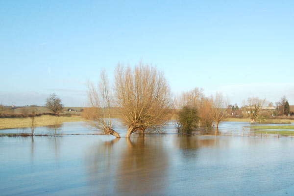 River Itchen in flood near Marton (5)