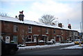 Terraced Houses, Victoria Rd