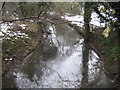 Ellen Brook at Colney Heath