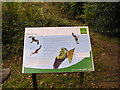 SU7396 : Natural England Red Kite Information Board by john shortland