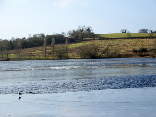 Chew Valley Lake © Maigheach-gheal :: Geograph Britain And Ireland