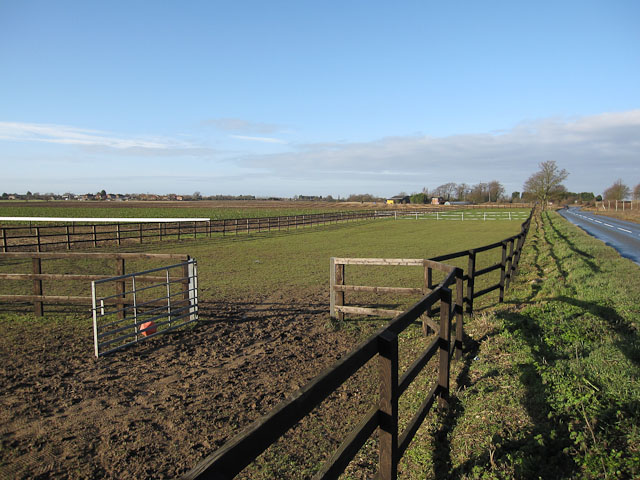 Horse paddocks